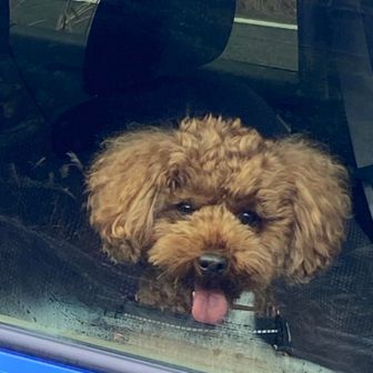 チュウタロウ。