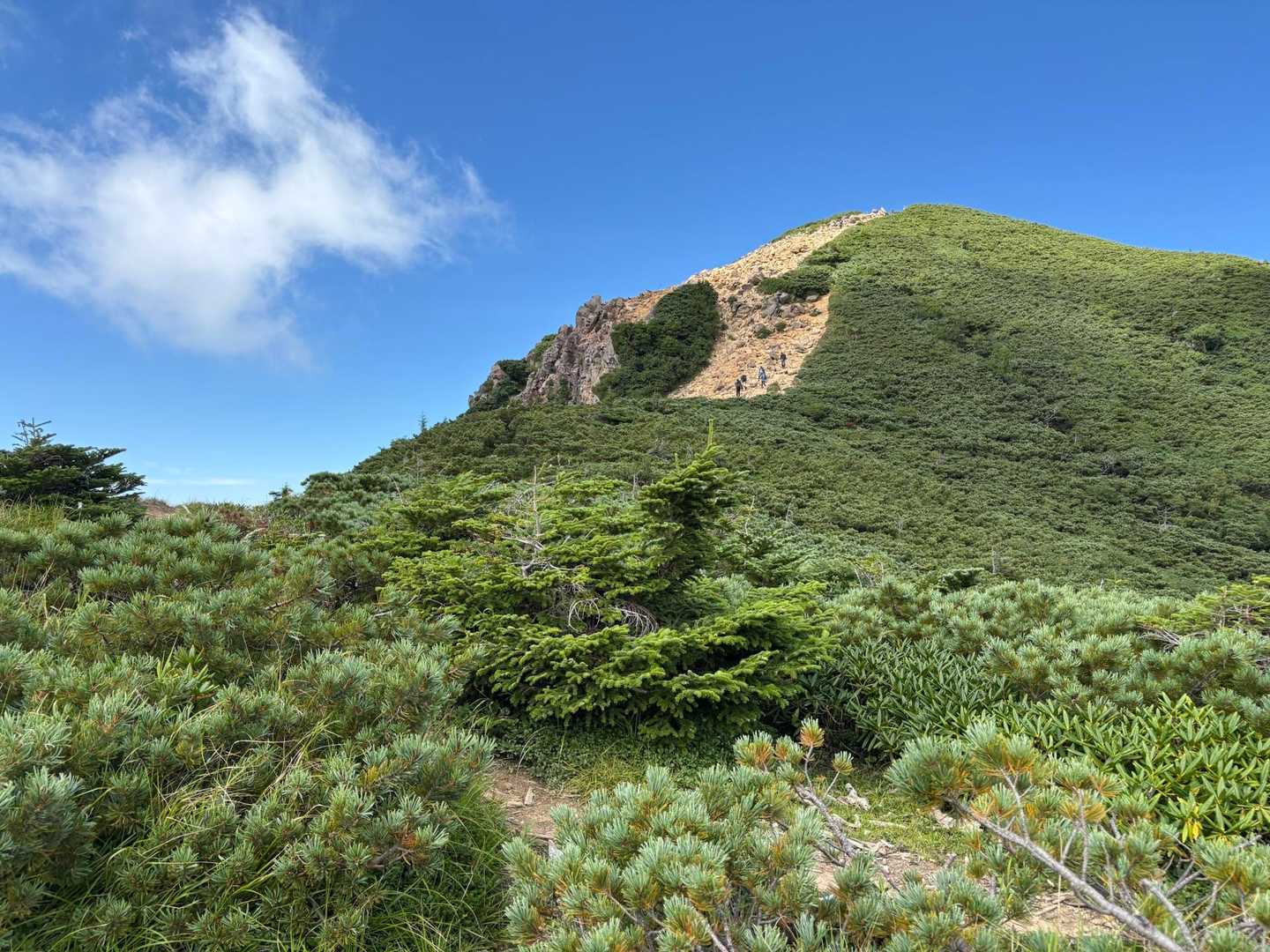 天狗岳周回 | 北八ヶ岳の森の潤いと南八ヶ岳の岩稜の豪快さ、両方を体感する双耳峰の写真