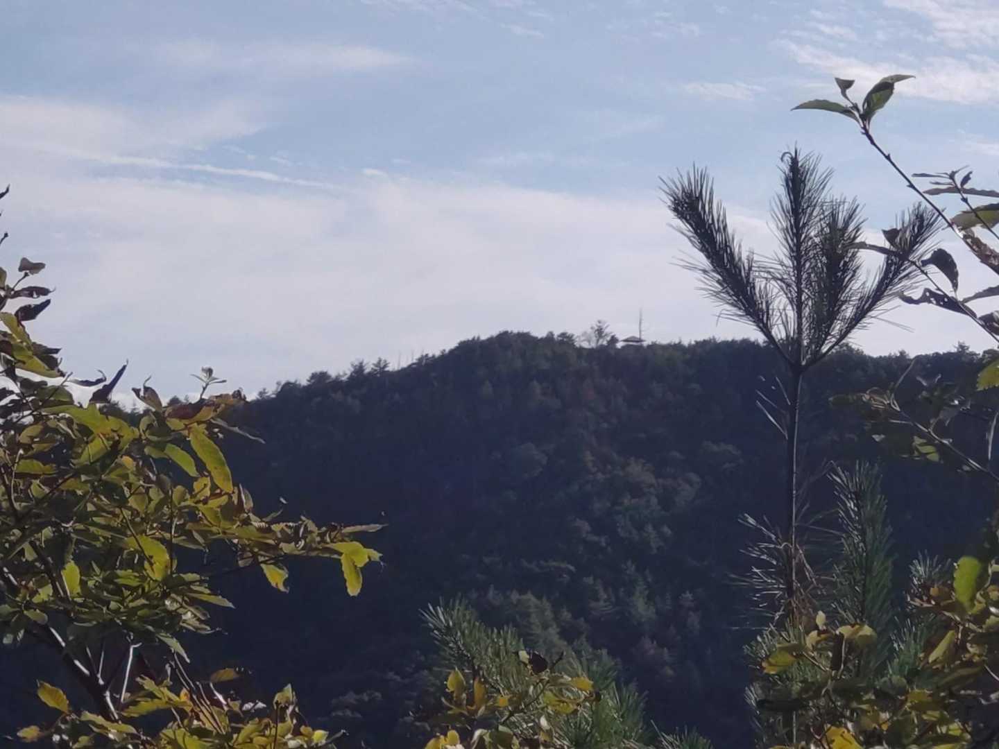 各務原権現が〜🫡