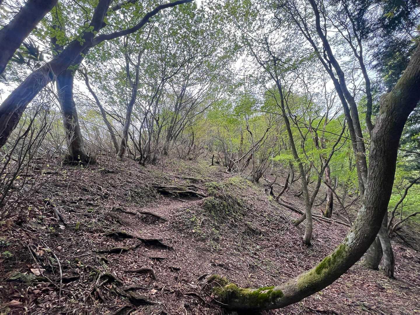 まだまだ登る💦