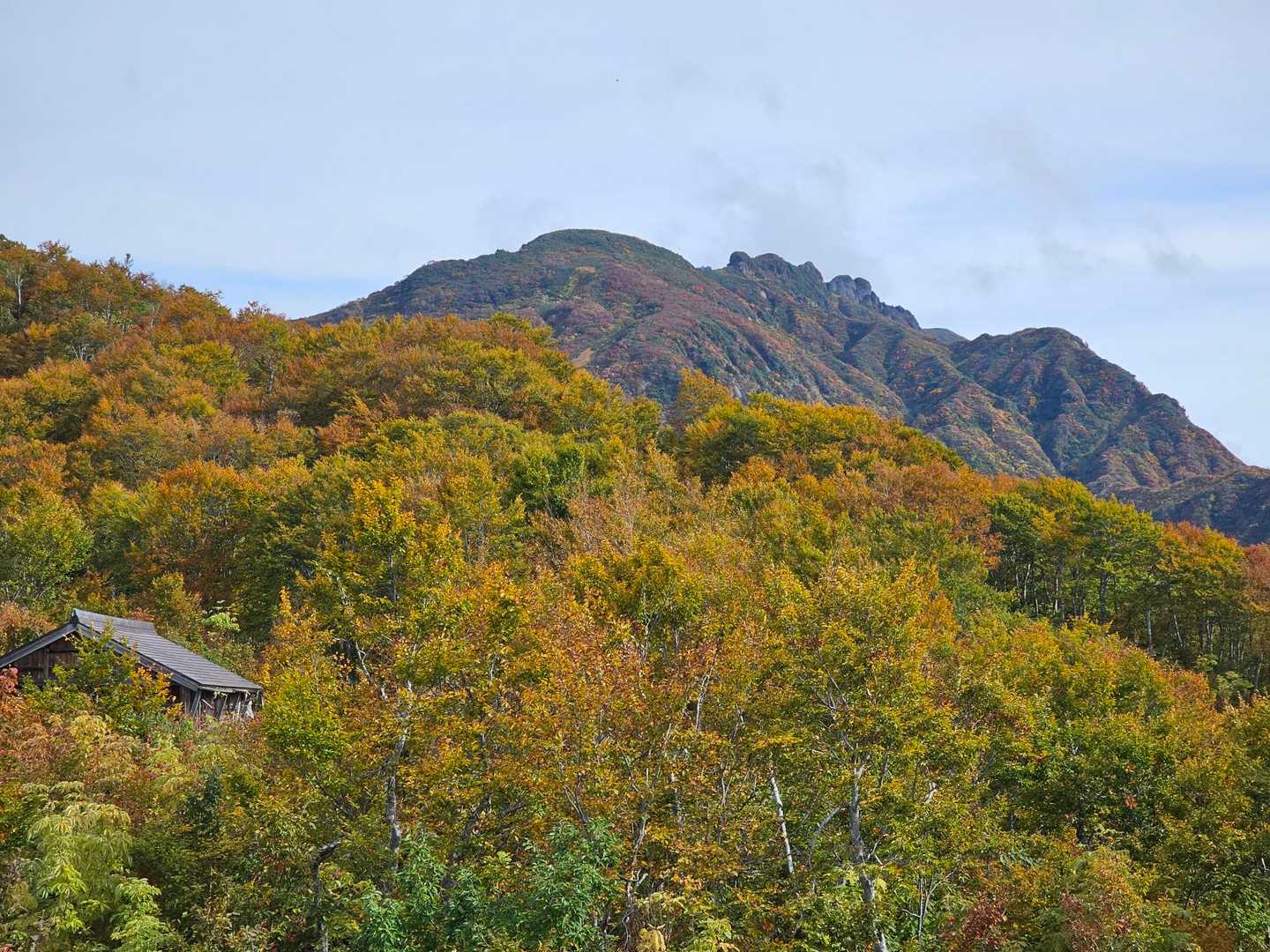 展望台より八海山

八ッ峰は無理としても、薬師岳までは次回行ってみたいな、また来年のこの時期に再訪決定😙