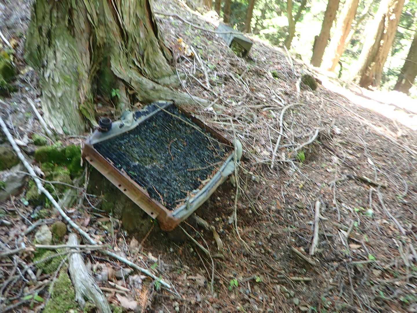 何故にここに