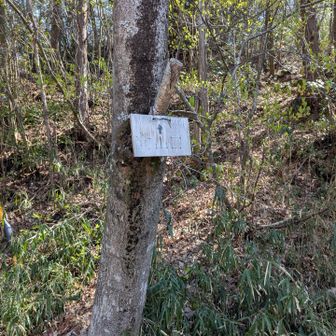 登山口に下山しました🚶‍♂️
ここが仁坂坂✨