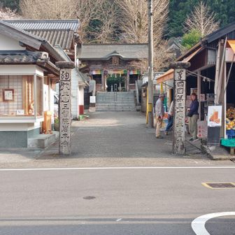 やっと37番岩本寺に着く。