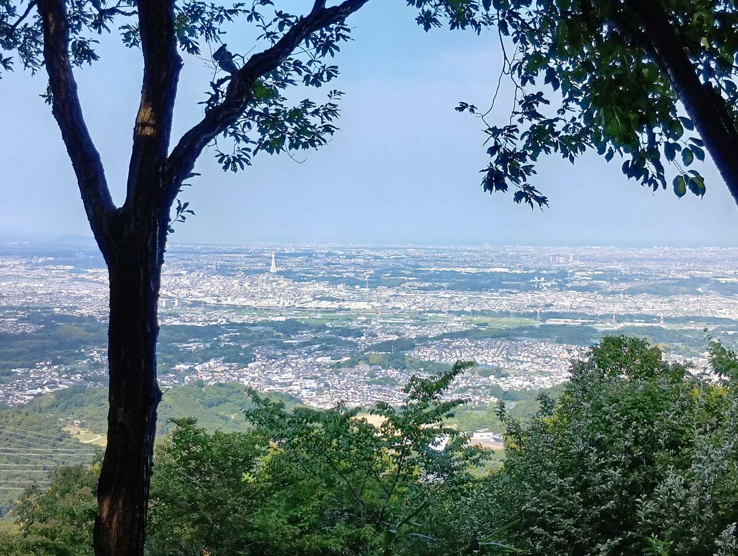大阪側がよく見晴らせます