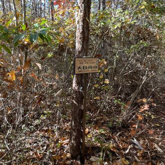 大日向山（おおひおもやま）