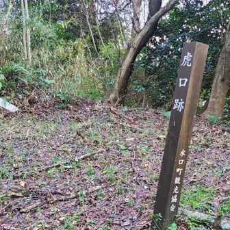 虎口あと