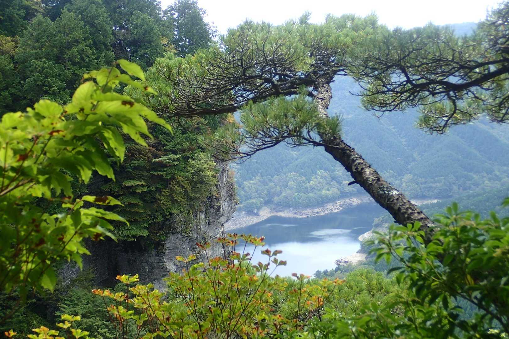 稜線から少し右に出ると眼下に
ダム湖が見えます