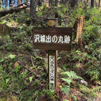 澤城跡 到着★
出の丸跡らしいです。

看板に「ダリヨ&ジュストの道」と書いていますが、城跡に行く登山道に名付けたみたいです。

7年位居城としていた、有名なキリシタン大名の高山右近(ジュスト)と父親(ダリヨ)の名前から。
