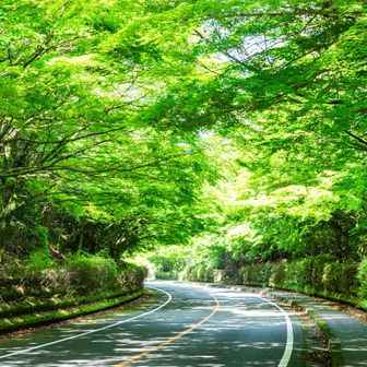 春の韓国岳（霧島山） / こはちちの登山データ | YAMAP / ヤマップ