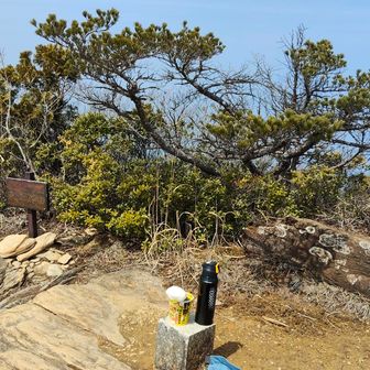 ずっと歩き続けていたのでランチタイム。