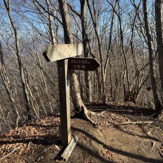 分岐まで戻ってきました♪
今度は大タルミへ