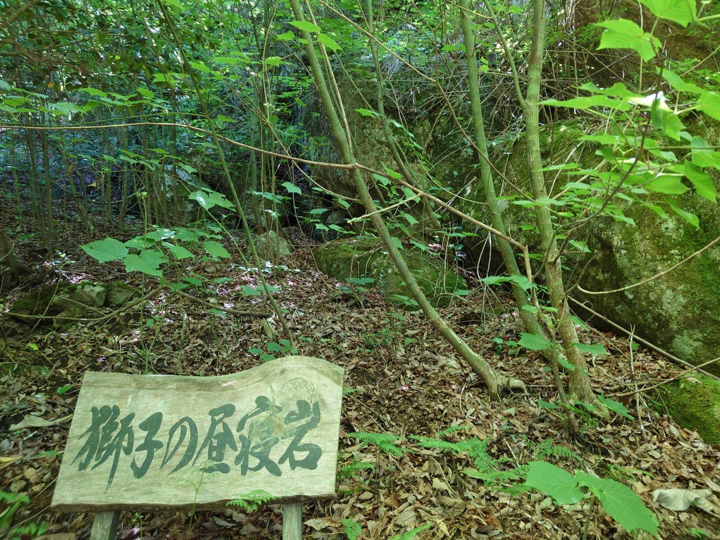 上の山-大野山 周回コースの写真