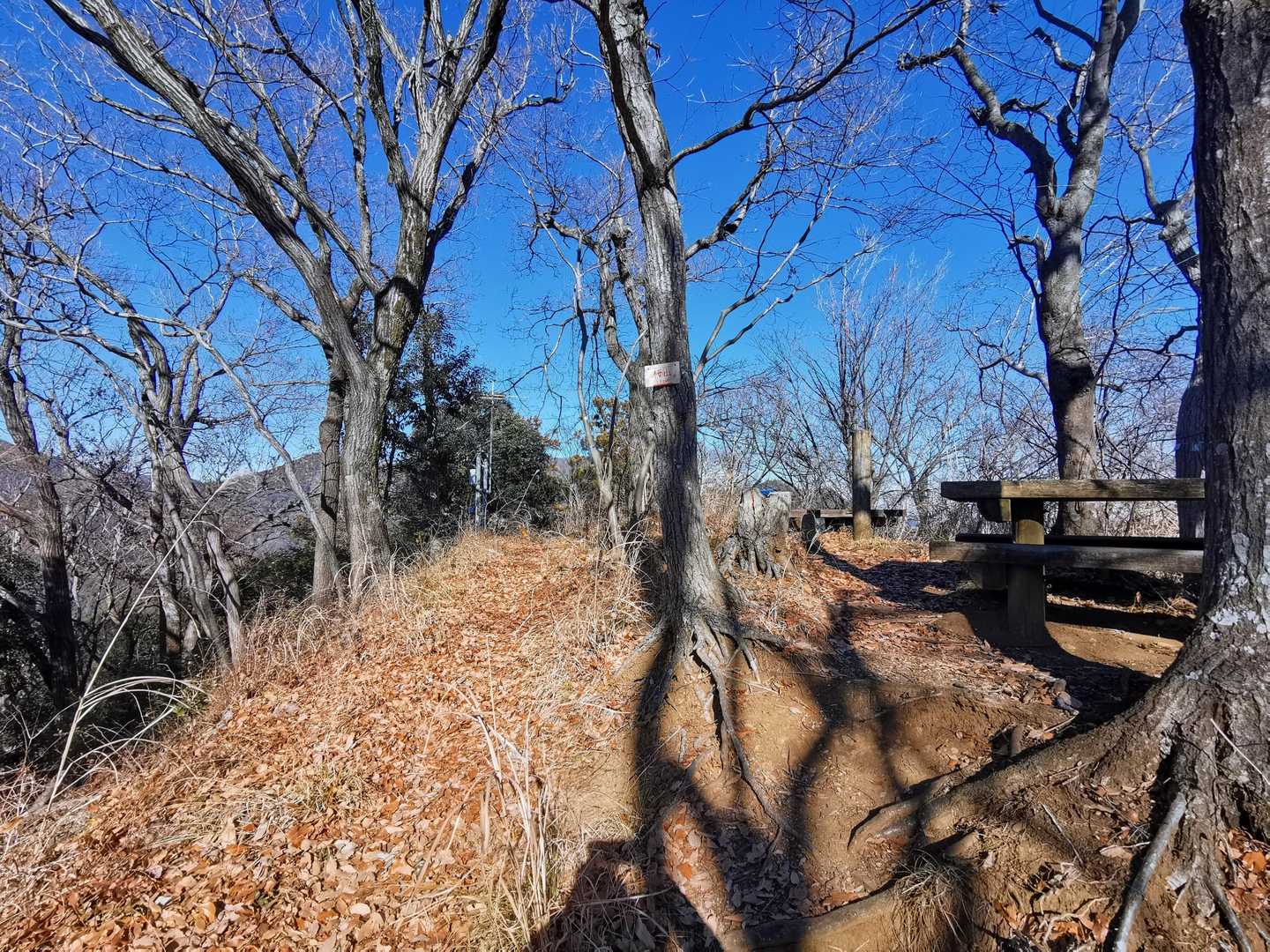 つづら折りの登山道を経て桜山山頂。左は三峰山、右は相州アルプス