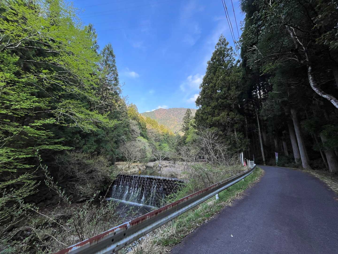 さて林道から
