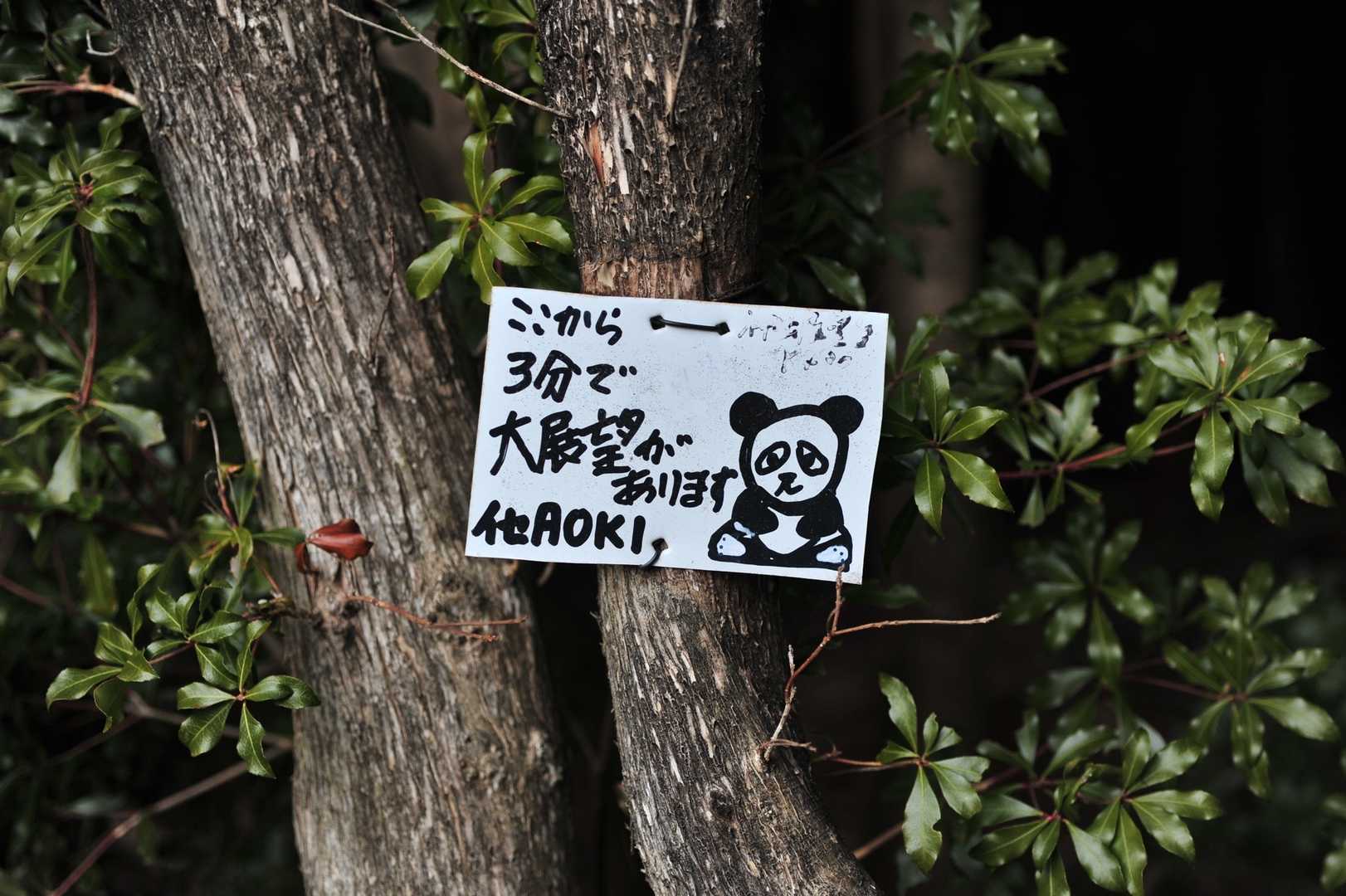 さっきの広場のことかなぁ
