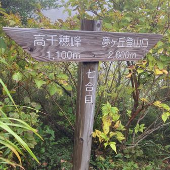 このへんはもう歩きやすい