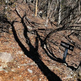 看板が多くて助かる🪧