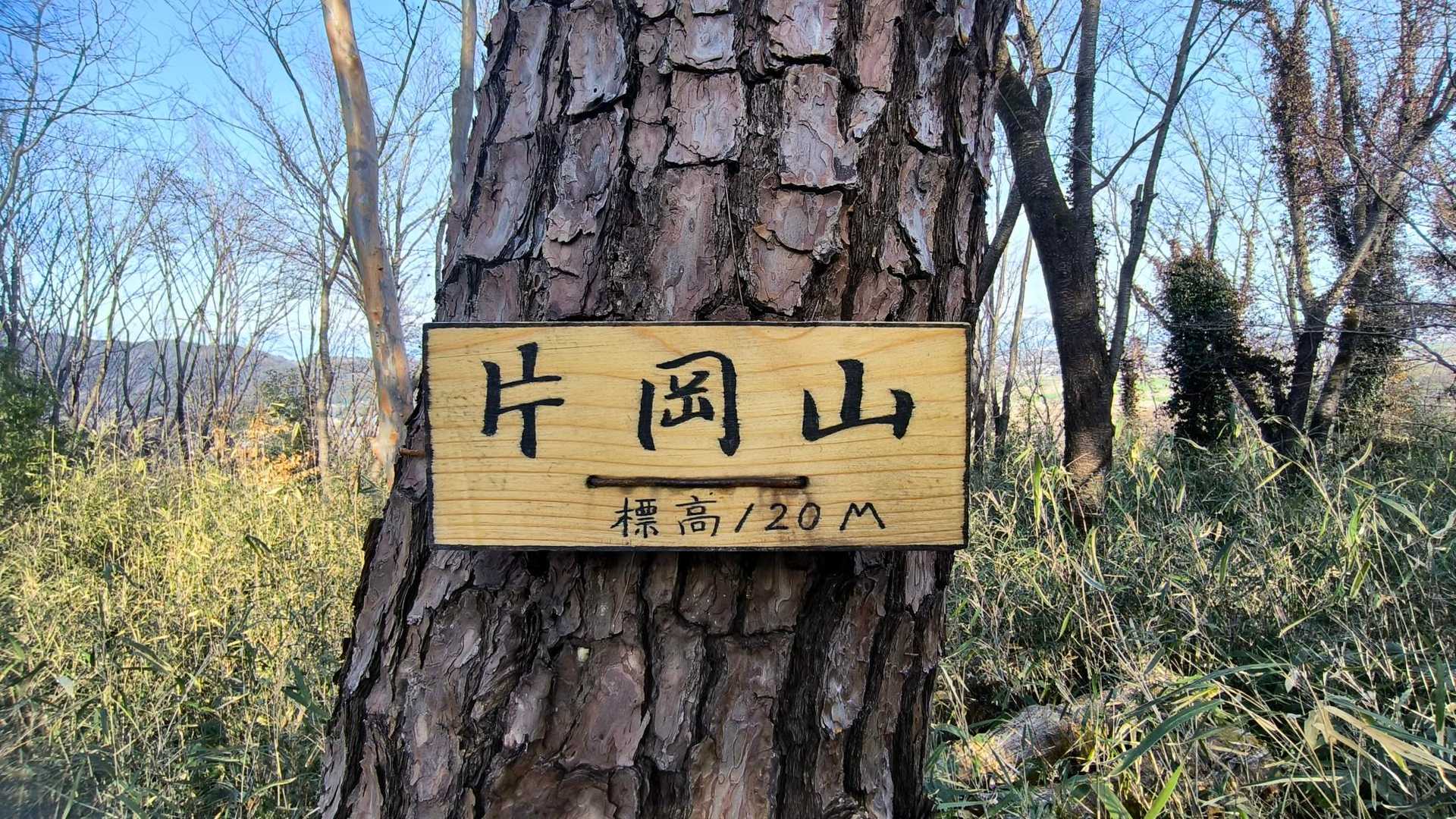 山頂到着
