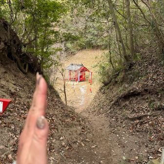 権現峠はスルー🙏