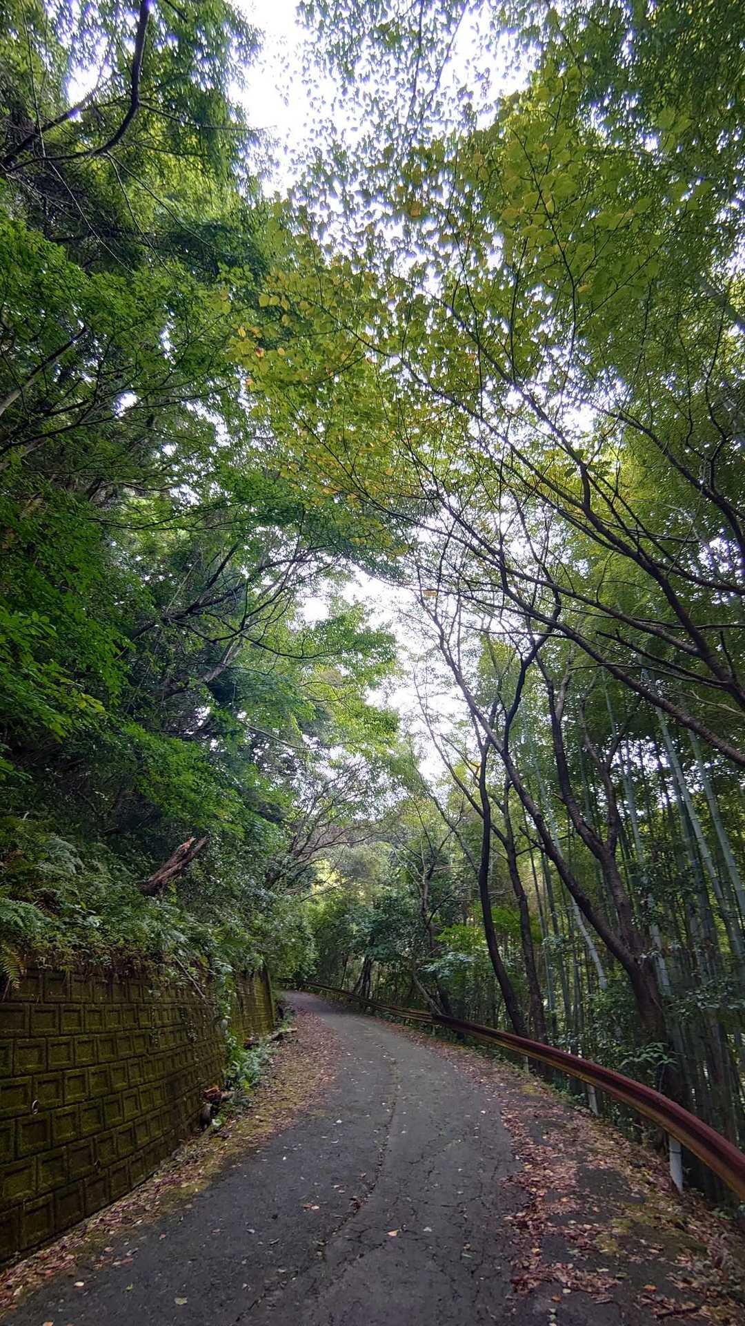 陶の道・若山城登城のみち入口-若山 往復コースの写真