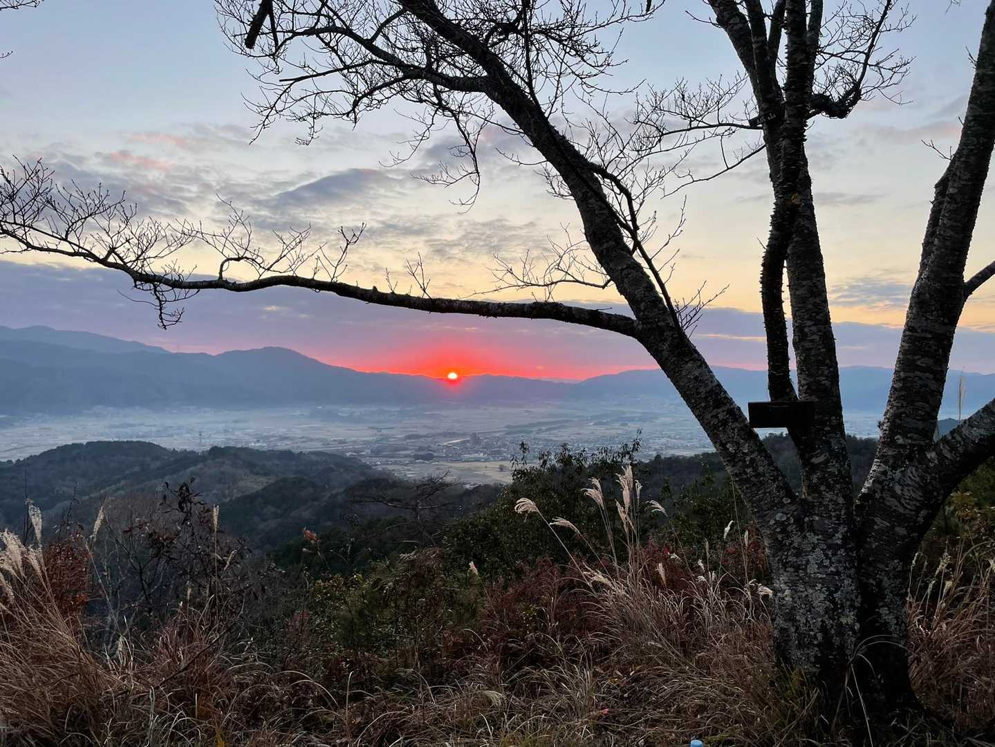 城山 往復コースの写真