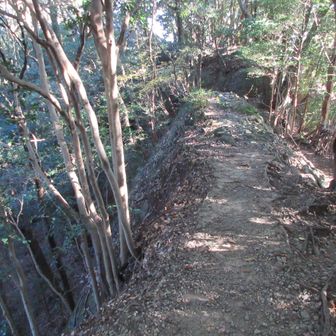 細尾根　左側要注意‼️滑落したら終わりかも