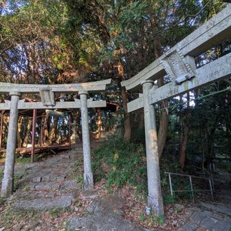 めっちゃ鳥居あってびっくり