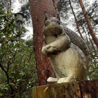 リス🐿️がいた！
ここの山は蚊🦟がたくさんいます。
コトヒナ6箇所、ハギさん0箇所刺されました。