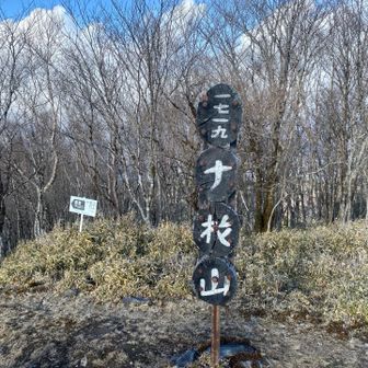 山梨百名山97座目　十枚山登頂‼️