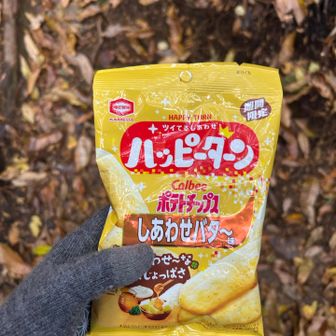 上り返しが何個かあって疲れそうなので、ハッピーターンを食べ歩きしながら登りました😂