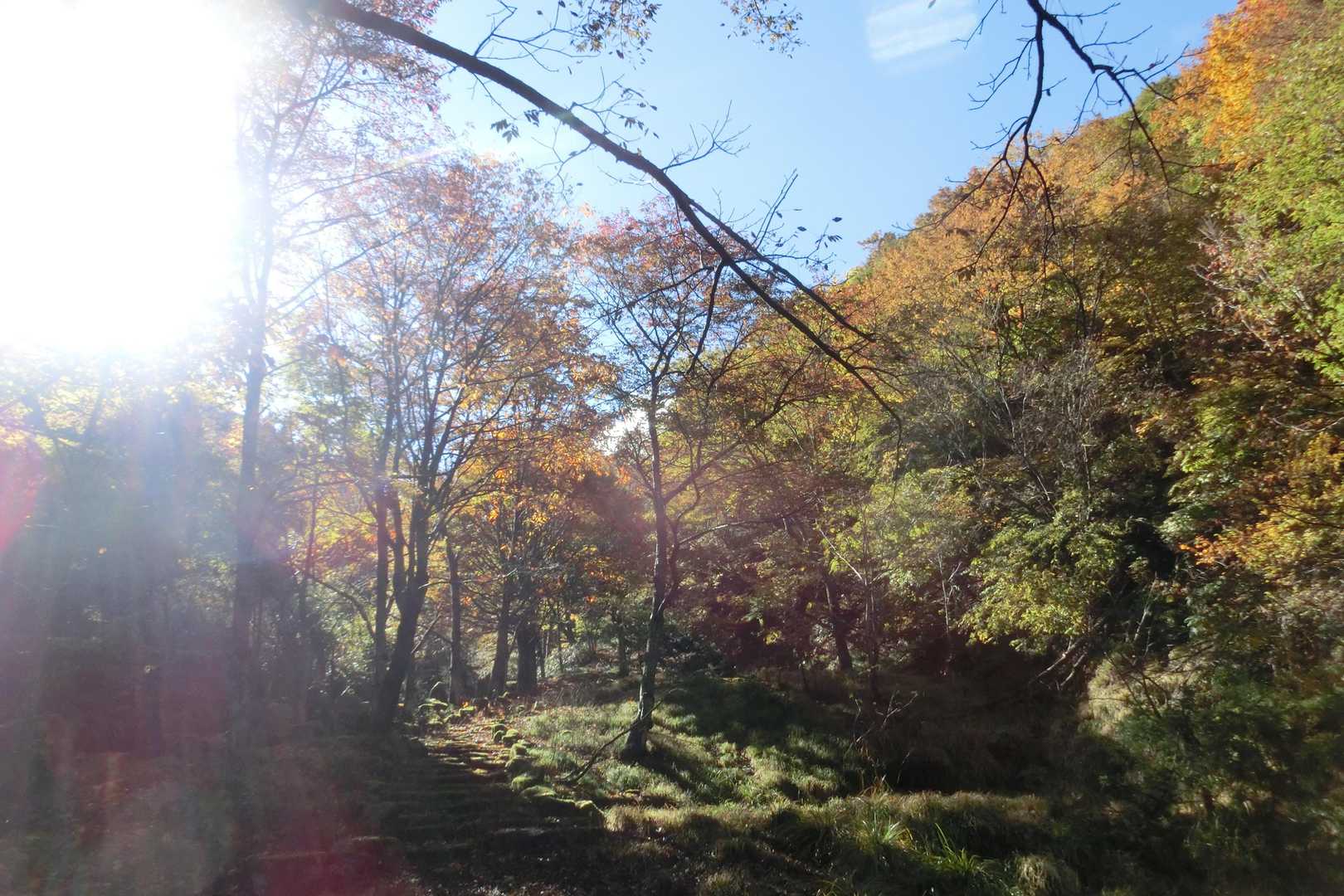貝月山 往復コースの写真