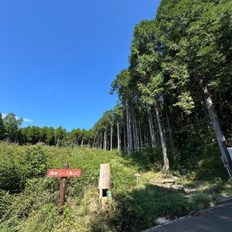 鞍岳ブルーを見上げて…💙
