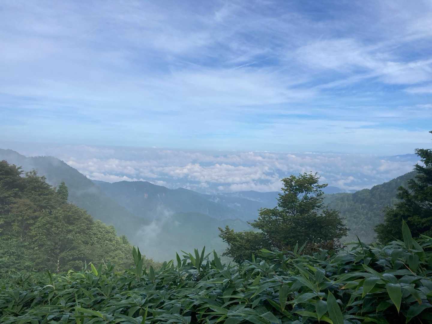 段々晴れてきました！
少し登っただけでこの眺望は素晴らしい