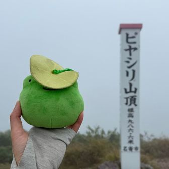 カゼつよっケロ