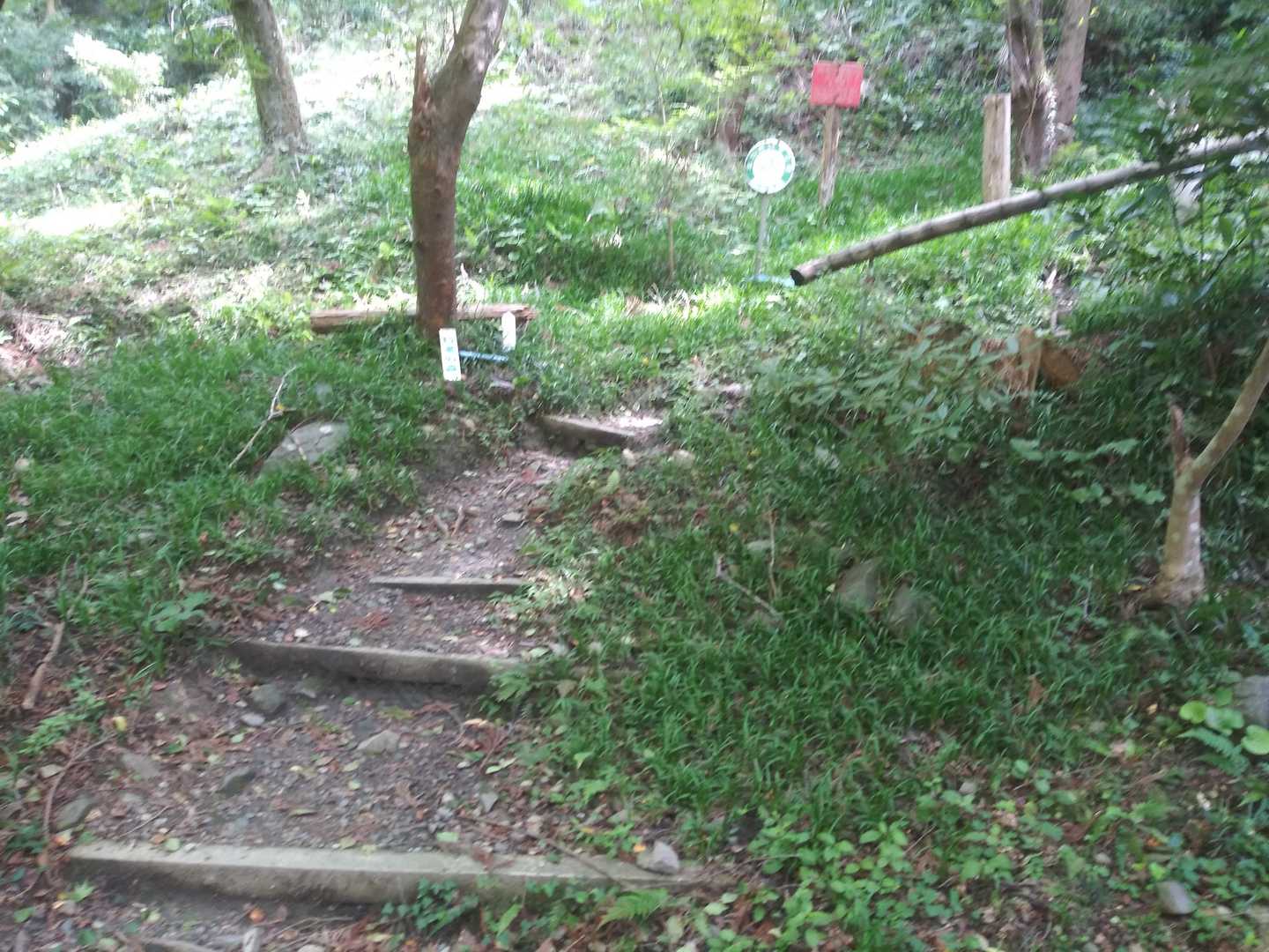 行者の森(登拝道)登山口･🥾｡