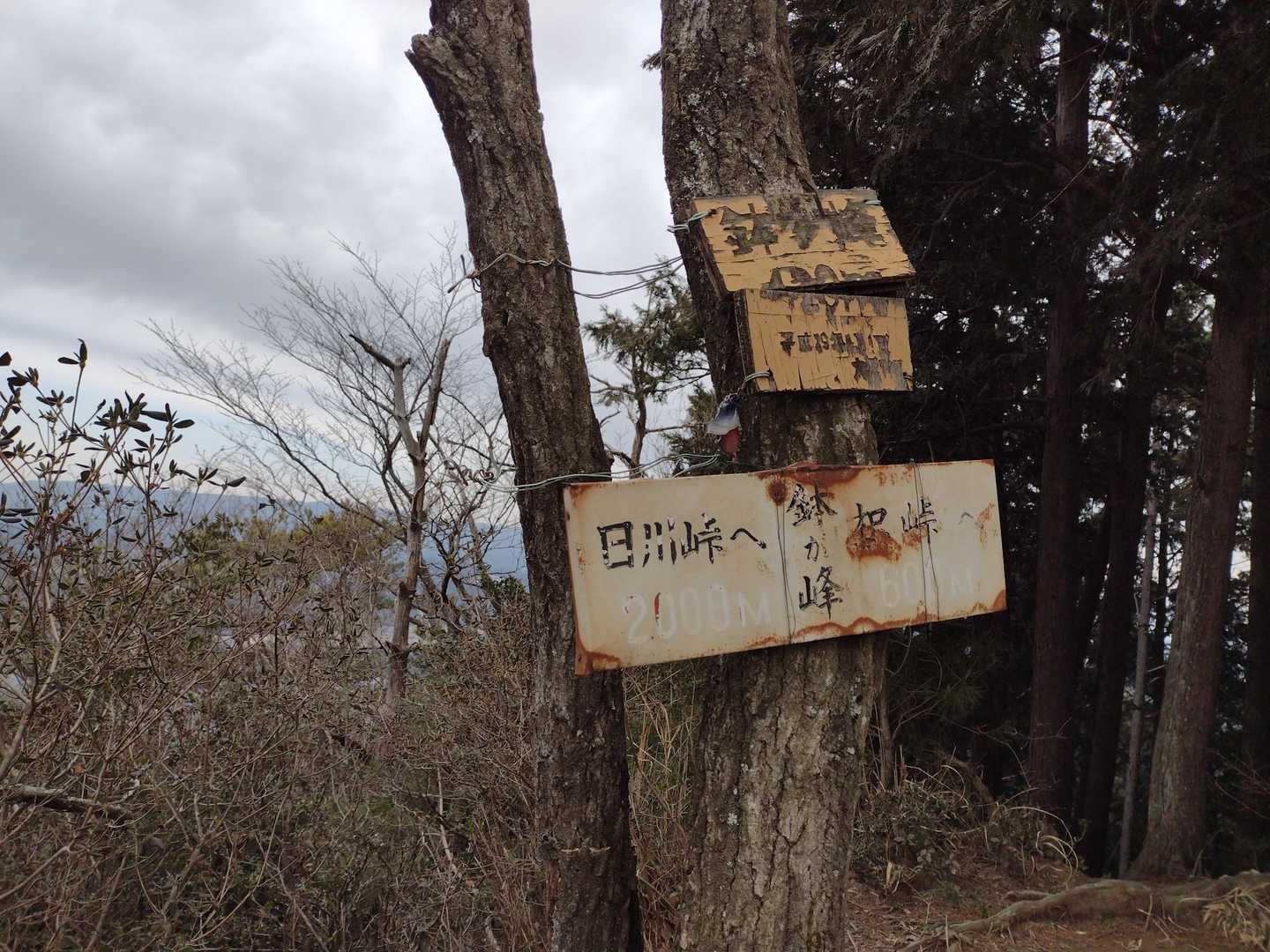 堀場山🚩
岩内川の頭🚩
鉢ヶ峰南峰🚩
鉢ヶ峰🚩