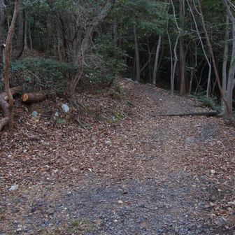 右手を登って古津山⛰️へ🥾