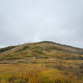 リフト🚠乗り場から、もう秋🍁ですねー