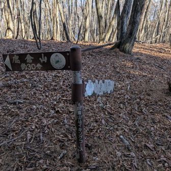 タナグチ山に到着、ここでお昼休憩