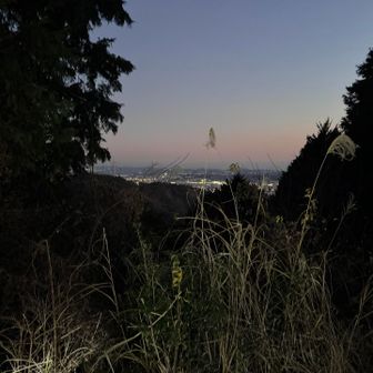 かなり暗くなって来ました、夜景が見えます