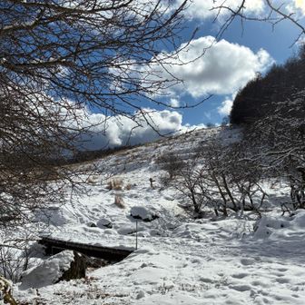 この先は…なだらかですが…ずーっと登ります