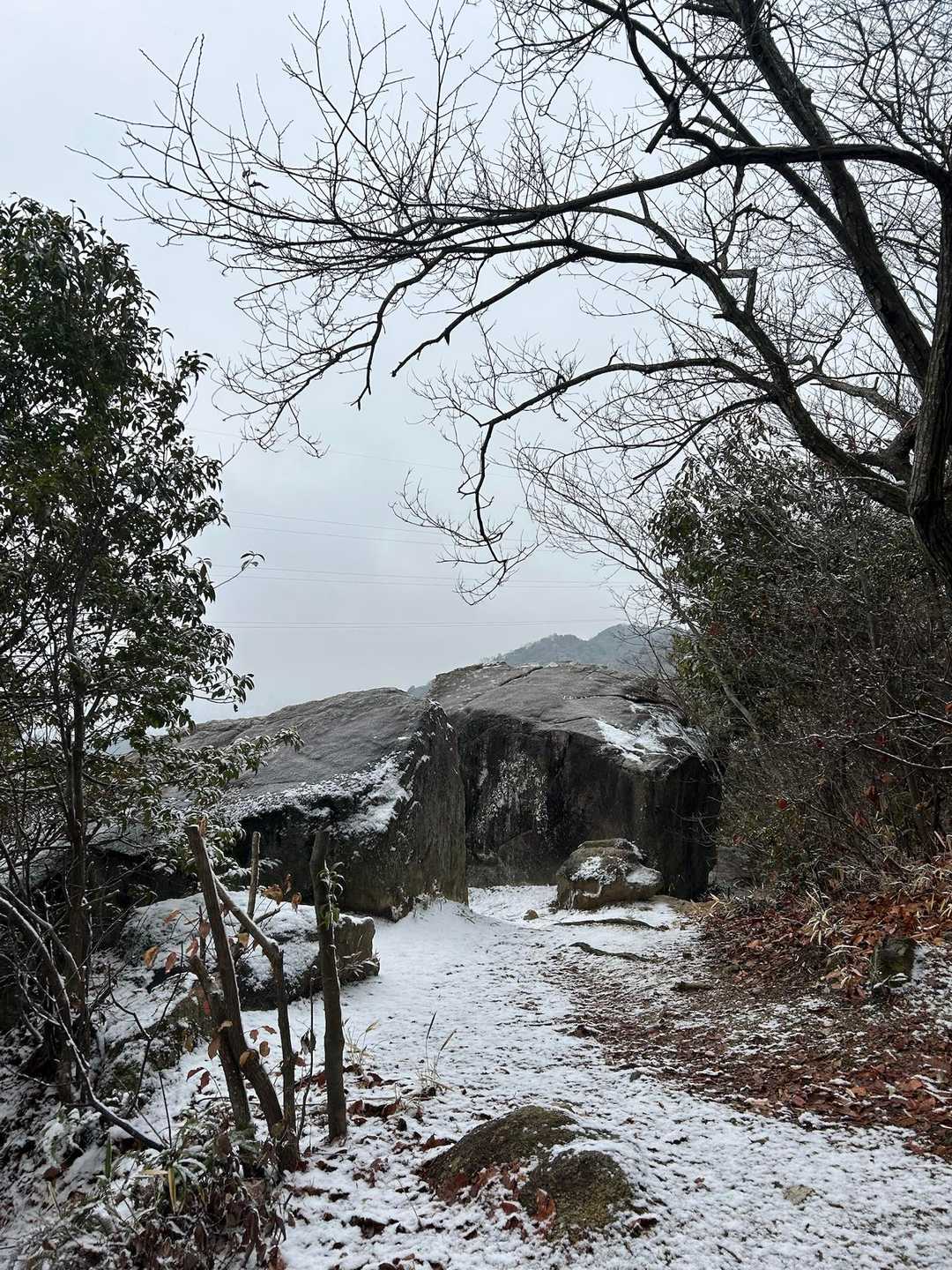 岩発見！
岩の名前はないみたい