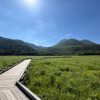 長者原に下山してきた。この木道は懐かしい。