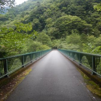 飛龍橋を渡ります。
昔は吊橋構造の鉄道橋が架かっていたそうです