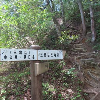 分岐