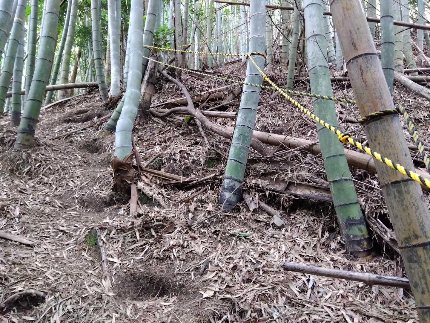アップダウンの繰り返しのルートでした。
帰りの急登のロープ場が地味に足腰に堪えました。