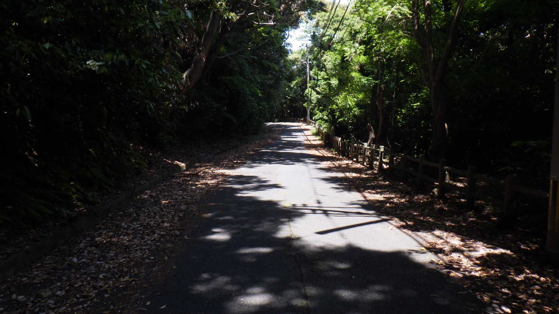 風頭-風師山登山口 縦走コースの写真