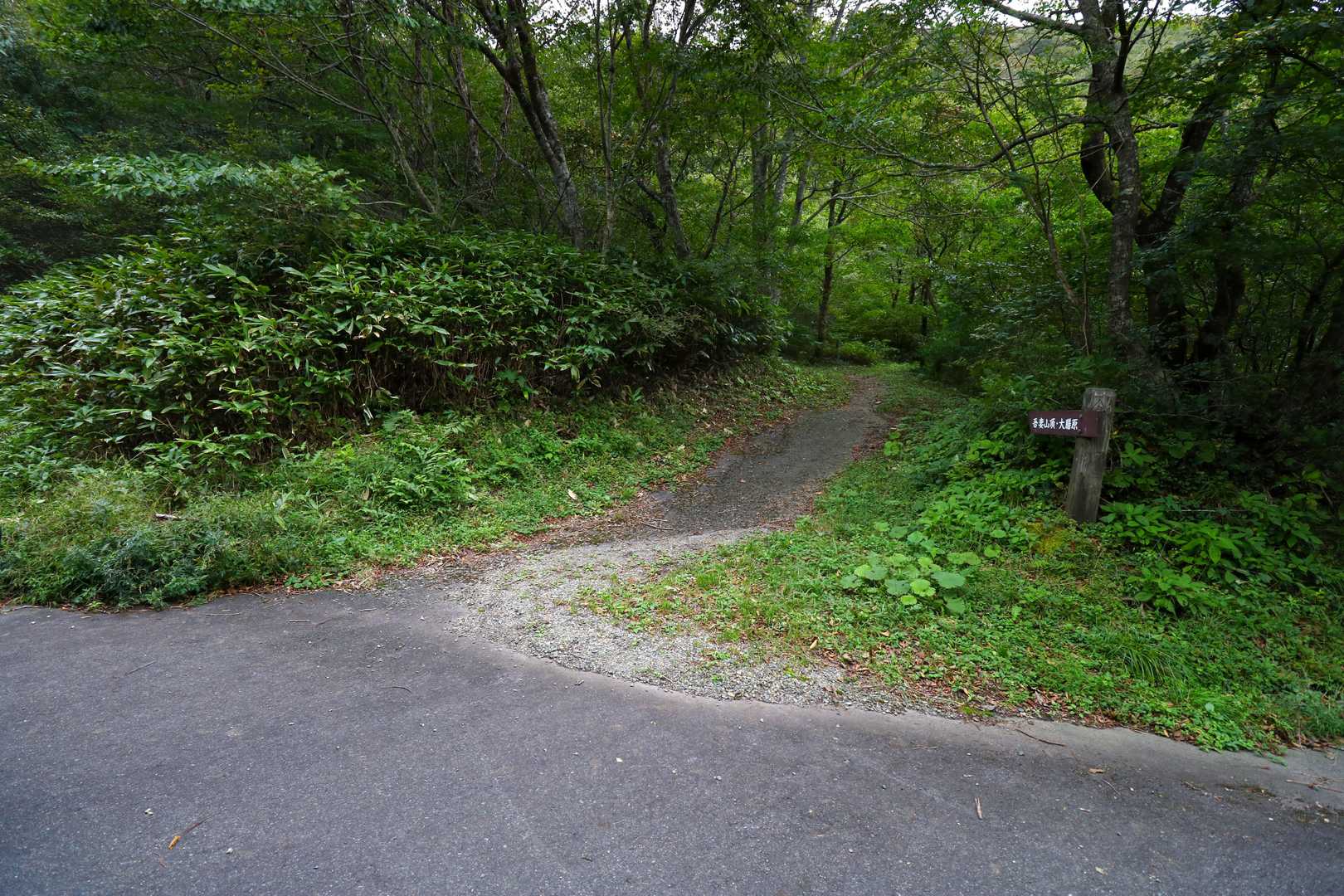 車道に出ました。駐車場もすぐです。
この後、最後の道後山に向かいます🚙