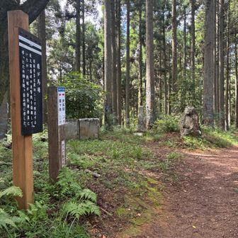 チェックポイント